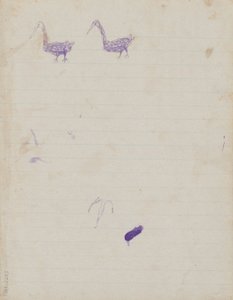 Kwatkwat人 - （鸟类）Sketchbook主要是土着和白人的活动